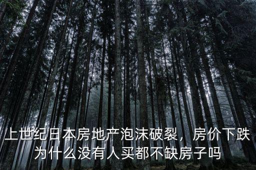 上世紀日本房地產泡沫破裂，房價下跌為什么沒有人買都不缺房子嗎