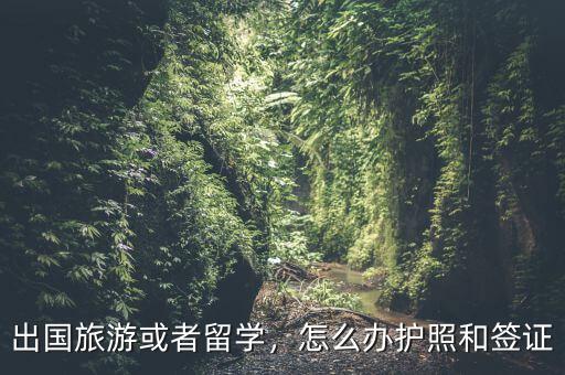 出國(guó)旅游或者留學(xué)，怎么辦護(hù)照和簽證