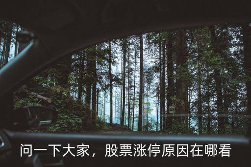 問(wèn)一下大家，股票漲停原因在哪看