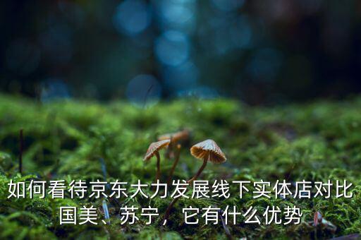 如何看待京東大力發(fā)展線下實體店對比國美、蘇寧，它有什么優(yōu)勢