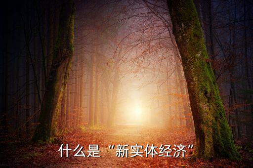 什么是“新實體經濟”