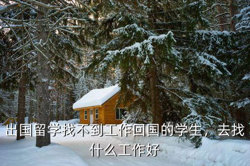 出國(guó)留學(xué)找不到工作回國(guó)的學(xué)生，去找什么工作好