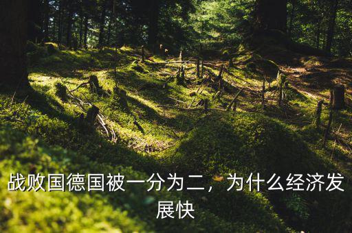 戰(zhàn)敗國德國被一分為二，為什么經(jīng)濟發(fā)展快