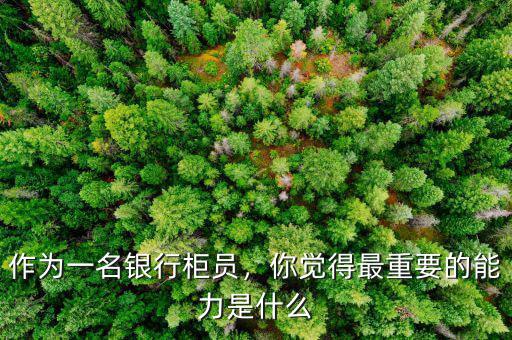 作為一名銀行柜員，你覺得最重要的能力是什么