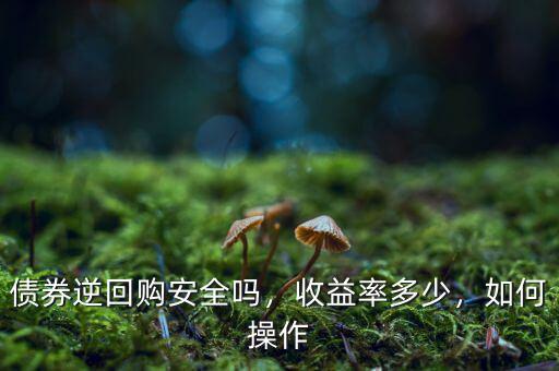 債券逆回購安全嗎，收益率多少，如何操作