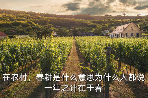 在農(nóng)村，春耕是什么意思為什么人都說一年之計在于春