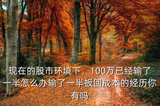 現(xiàn)在的股市環(huán)境下，100萬(wàn)已經(jīng)輸了一半怎么辦輸了一半扳回成本的經(jīng)歷你有嗎