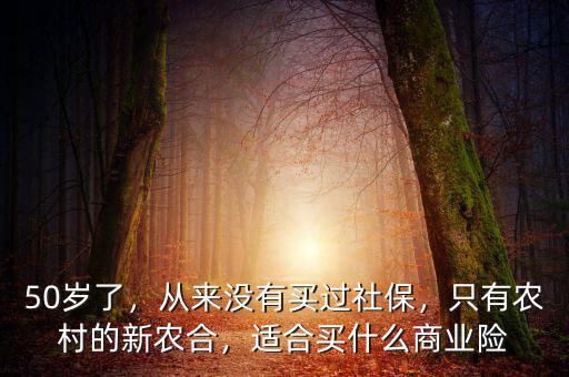 50歲了，從來沒有買過社保，只有農(nóng)村的新農(nóng)合，適合買什么商業(yè)險