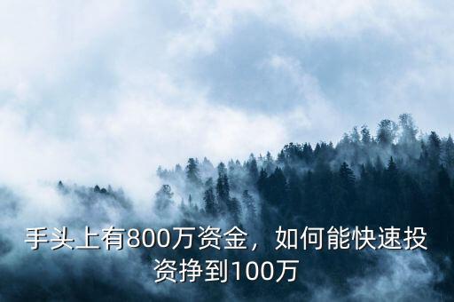 手頭上有800萬(wàn)資金，如何能快速投資掙到100萬(wàn)