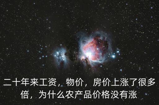 二十年來(lái)工資，物價(jià)，房?jī)r(jià)上漲了很多倍，為什么農(nóng)產(chǎn)品價(jià)格沒(méi)有漲