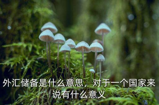 外匯儲備是什么意思，對于一個國家來說有什么意義