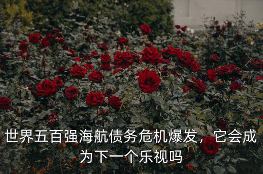 世界五百強(qiáng)海航債務(wù)危機(jī)爆發(fā)，它會成為下一個(gè)樂視嗎