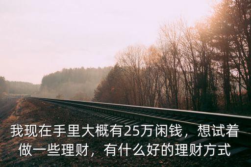 我現(xiàn)在手里大概有25萬閑錢，想試著做一些理財，有什么好的理財方式