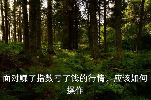 面對賺了指數(shù)虧了錢的行情，應(yīng)該如何操作