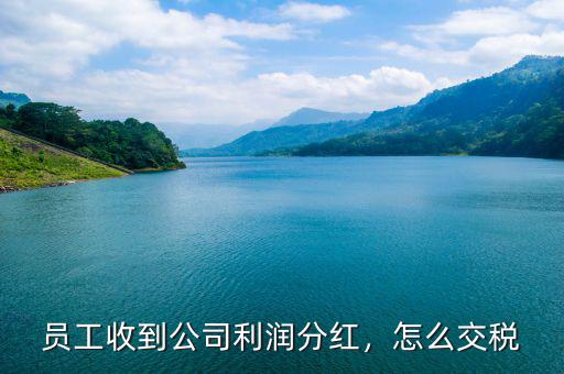 員工收到公司利潤分紅，怎么交稅