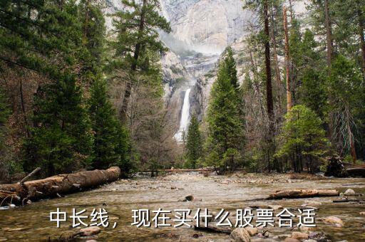 中長線，現(xiàn)在買什么股票合適