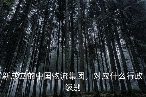 新成立的中國物流集團(tuán)，對應(yīng)什么行政級(jí)別