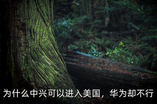 為什么中興可以進入美國，華為卻不行