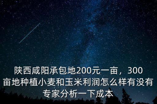陜西咸陽(yáng)承包地200元一畝，300畝地種植小麥和玉米利潤(rùn)怎么樣有沒(méi)有專(zhuān)家分析一下成本