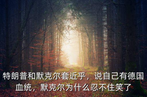 特朗普和默克爾套近乎，說自己有德國血統，默克爾為什么忍不住笑了