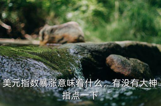 美元指數(shù)暴漲意味著什么，有沒有大神指點一下