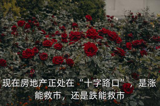 現(xiàn)在房地產正處在“十字路口”，是漲能救市，還是跌能救市