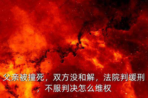 父親被撞死，雙方?jīng)]和解，法院判緩刑，不服判決怎么維權(quán)