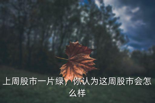 上周股市一片綠，你認(rèn)為這周股市會(huì)怎么樣