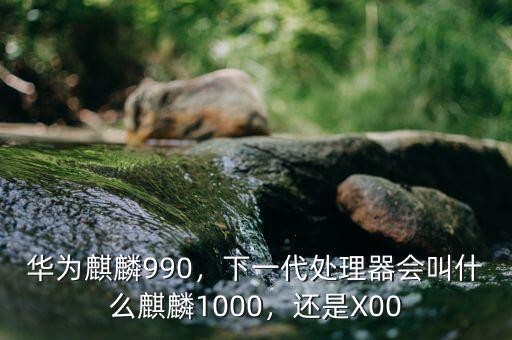 華為麒麟990，下一代處理器會(huì)叫什么麒麟1000，還是X00