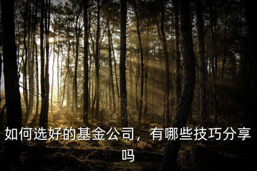 如何選好的基金公司，有哪些技巧分享嗎