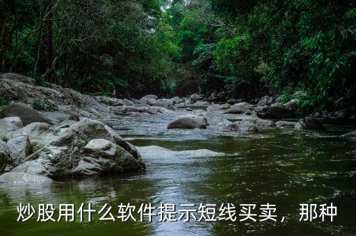 炒股用什么軟件提示短線買賣，那種