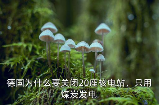 德國為什么要關(guān)閉20座核電站，只用煤炭發(fā)電