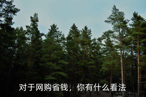 對(duì)于網(wǎng)購(gòu)省錢，你有什么看法