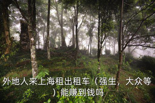 外地人來(lái)上海租出租車（強(qiáng)生，大眾等）能賺到錢嗎