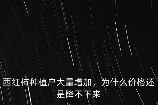 西紅柿種植戶大量增加，為什么價(jià)格還是降不下來