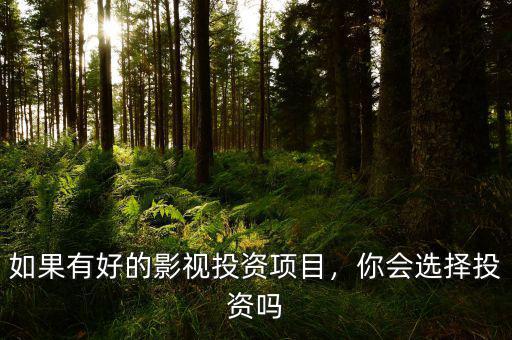 如果有好的影視投資項(xiàng)目，你會(huì)選擇投資嗎