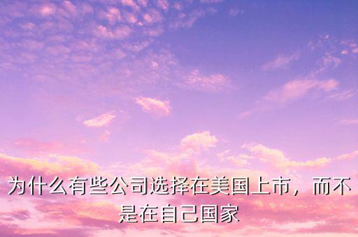 為什么有些公司選擇在美國上市，而不是在自己國家