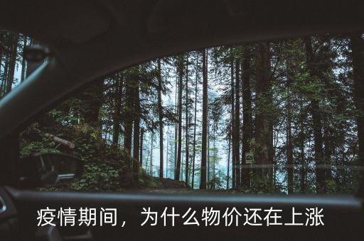 疫情期間，為什么物價還在上漲