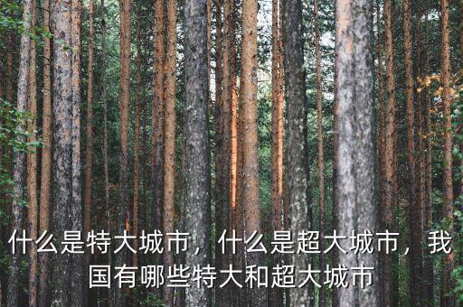 什么是特大城市，什么是超大城市，我國有哪些特大和超大城市