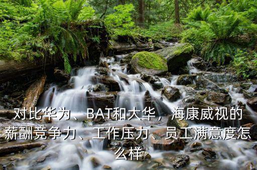桐廬?？低曉趺礃?員工滿(mǎn)意度怎么樣