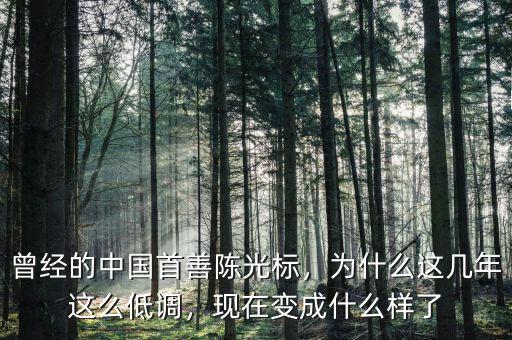 曾經(jīng)的中國首善陳光標(biāo)，為什么這幾年這么低調(diào)，現(xiàn)在變成什么樣了