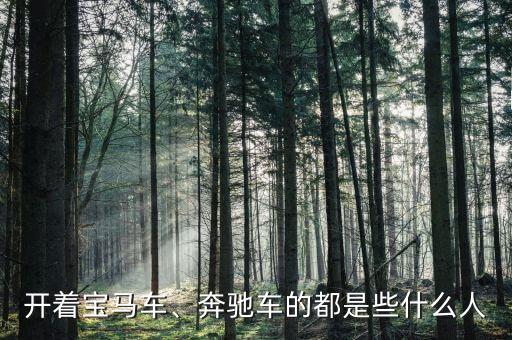 開著寶馬車、奔馳車的都是些什么人