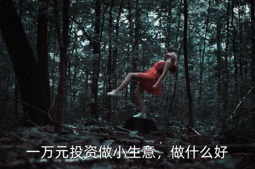 一萬(wàn)元投資做小生意，做什么好