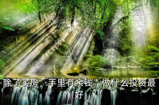 除了買(mǎi)房，手里有余錢(qián)，做什么投資最好