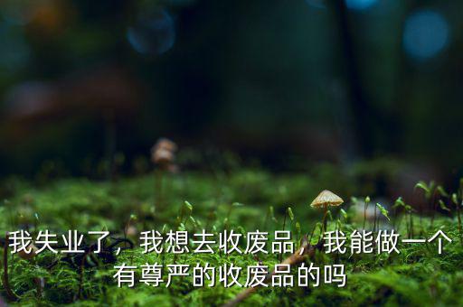 我失業(yè)了，我想去收廢品，我能做一個(gè)有尊嚴(yán)的收廢品的嗎