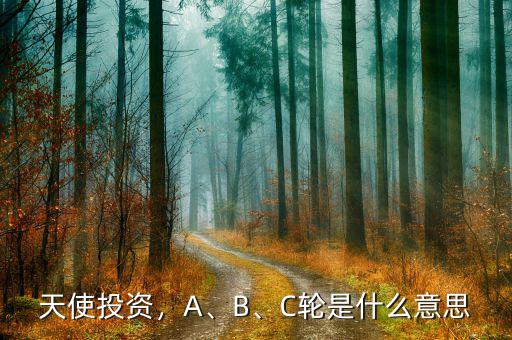 天使投資，A、B、C輪是什么意思