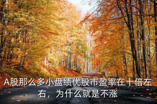 A股那么多小盤績優(yōu)股市盈率在十倍左右，為什么就是不漲