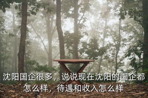 沈陽(yáng)國(guó)企很多，說說現(xiàn)在沈陽(yáng)的國(guó)企都怎么樣，待遇和收入怎么樣
