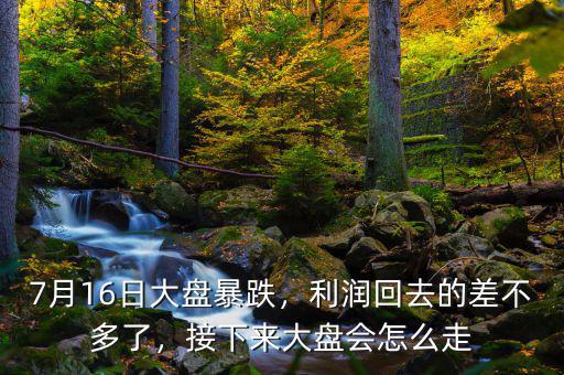 7月16日大盤暴跌，利潤回去的差不多了，接下來大盤會怎么走