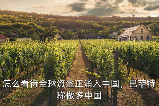怎么看待全球資金正涌入中國，巴菲特稱做多中國